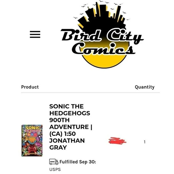 SONIC THE HEDGEHOG'S 900TH ADVENTURE - 1:50 GRAY VARIANT - 2023 IDW NM! - Picture 8 of 8